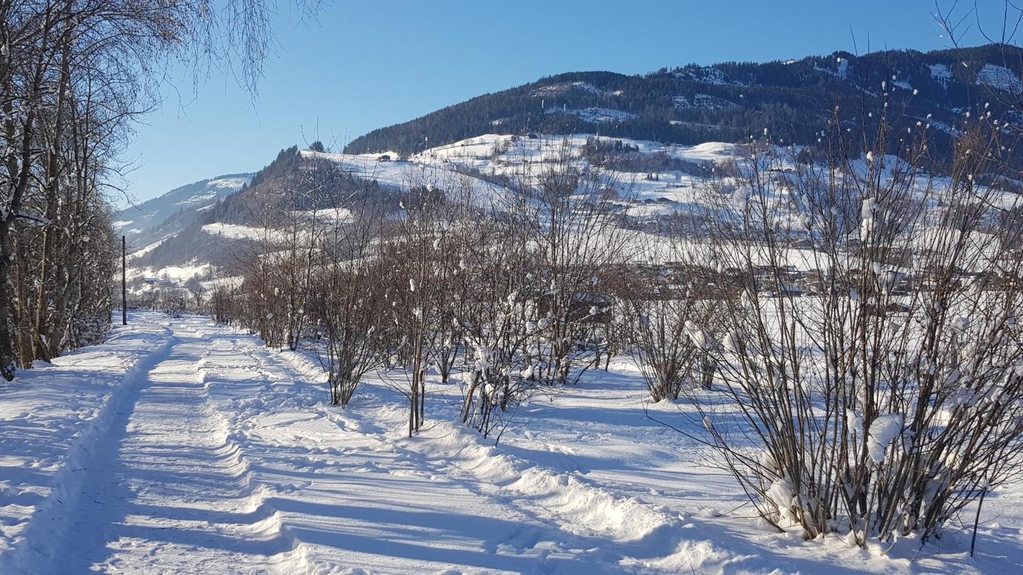 Chalet Am Park Piesendorf Cameră foto